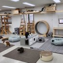새울산의원 아시아경제