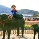 몽돌힐링 이미지