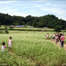 메밀주유소 이미지