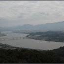 코스모스공원 이미지