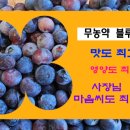 숲뒤농장 이미지