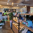 우주총동원 이미지