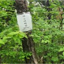 2025년12월17일 (전북고창) 선운산(100대 명산) 이미지