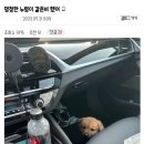 우리물류