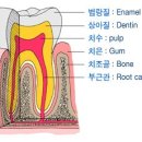 수플란트치과병원