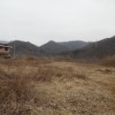 금대리828 이미지