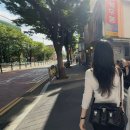 Lemaire | 르메르 기어백 미디움 내돈내산 후기 : 1년 사계절 20가지 코디로 보는 찐 활용도 (착샷 위주)