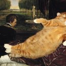 뚱보 고양이 이미지