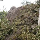 삼달1리 이미지