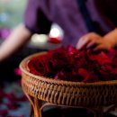 애플스파 이미지