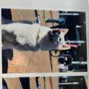 방어진고등학교 이미지