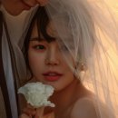 스튜디오피 이미지
