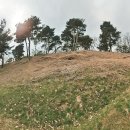 임씨 가묘 이미지