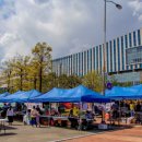 더드림마켓 이미지