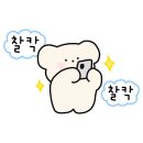 콩마니손두부 이미지