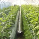 사봉면-12 이미지