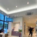 김현태김동민 동물의료센터 이미지