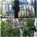 자천초등학교보현분교 이미지