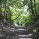 사우약수터 이미지