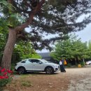 (주)다인토탈인테리어 | 용인 하남 토탈 야외 웨딩 촬영 추천 고야 시그니처 스튜디오 후기