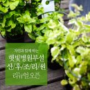 햇빛병원 부설 햇빛산후조리원 네이버블로그