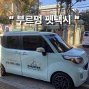 부르멍 펫택시 이미지
