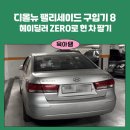 [육템] 디올뉴 팰리세이드 구매 8탄 (f. 헤이딜러 ZERO 소나타 판매 리뷰)