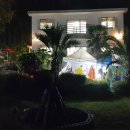 제주카사블랑카 이미지