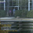 ebs다큐프라임 - 아동범죄 미스터리의 과학 (왜 아이들은 낯선 사람을 따라가는가?) 스압 이미지