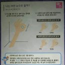 베스트안경 이미지