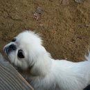 우아놀이터