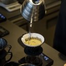 워시드카 이미지