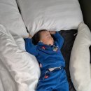 쇠소깍화장실(던킨앞) | [제주 한달살이 DAY 25~30] 이호테우 해변/용머리해안/천백고지/쇠소깍/드디어 귀향