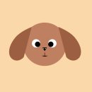 디지탈아이 이미지