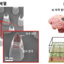선명
