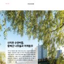 [우리 동네 탐구생활] 김연화-신리천 수양버들, 왕배산 나무들과 어깨동무(희망화성-2023년 12월호ㅜ양버들 이미지