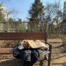 싸리고개공원 네이버블로그