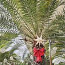 왕궁포레스트 이미지