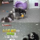 초우농장2 이미지