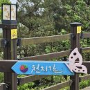 정상파크장 이미지