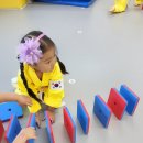 경희대 탑 태권도장 이미지