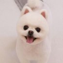 원 그루밍 이미지