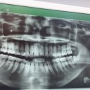 파티마내과의원 이미지