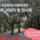 광양동백축제추진위원회 이미지