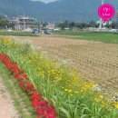 펠리즈글램핑 이미지