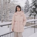 지고트신세계