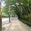 인천대공원(자전거광장) 이미지