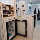 댕댕워시 이미지