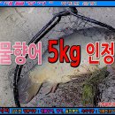 삼방낚시터 이미지