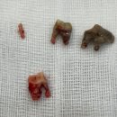 기장i동물의료센터 이미지